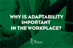 Why is Adaptability Important in the Workplace?