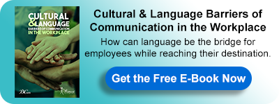 E-Book: Cultural and Language Barriers of Communication in the Workplace